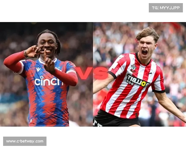 南安普顿保级关键战主场迎敌全力争取胜利保留英超希望