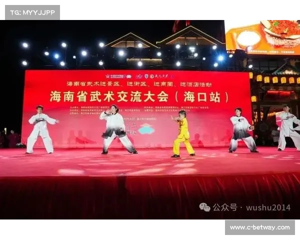 海南举办华夏武术精英演武大会，免费开放观众参与